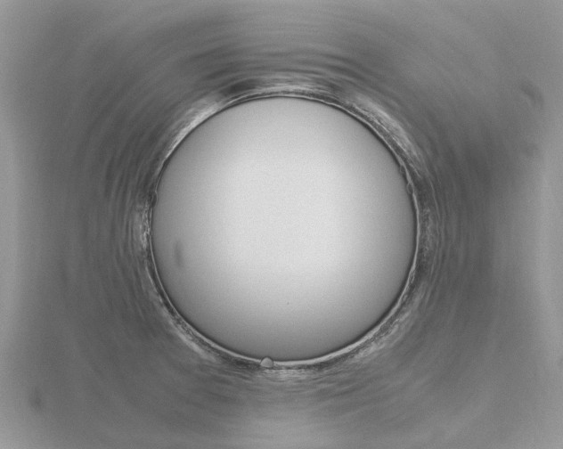 X0000116661377200912141018