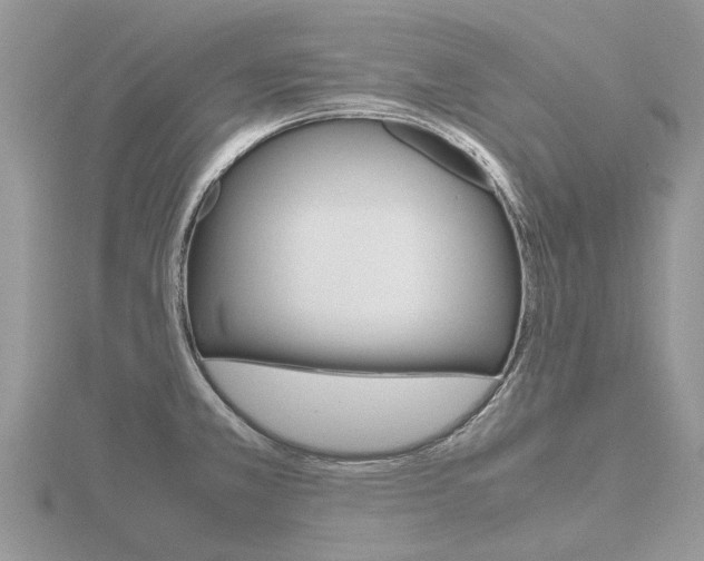 X0000116661381200912141018
