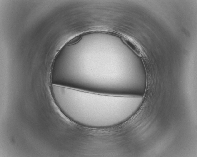 X0000116661383200912141017