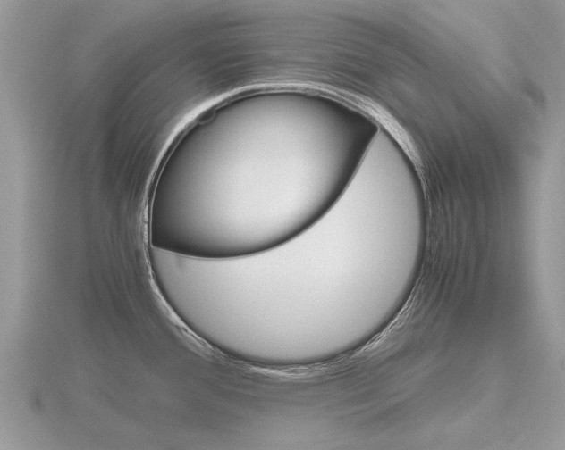 X0000116661388200912141017