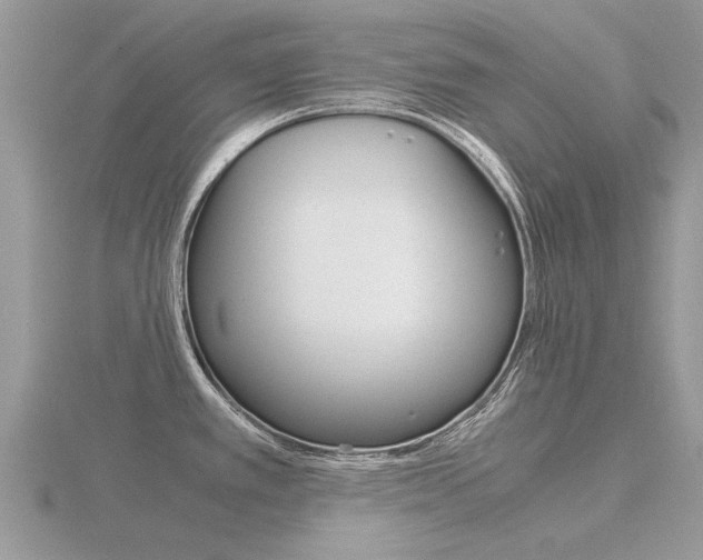 X0000116661389200912141017