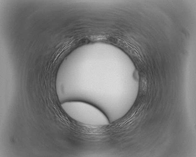 X0000116661393200912141017