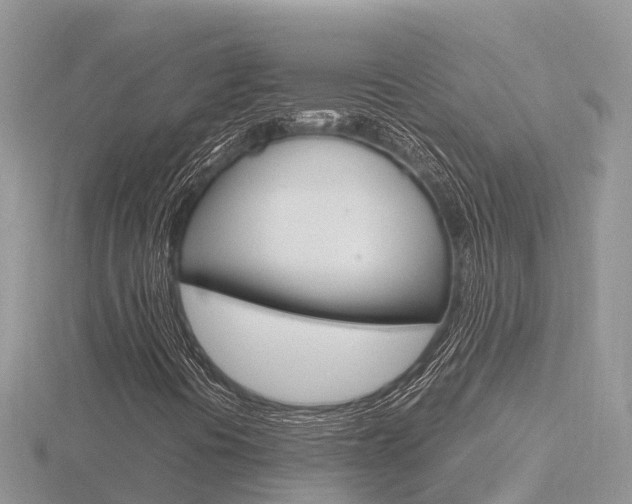 X0000116661394200912141017