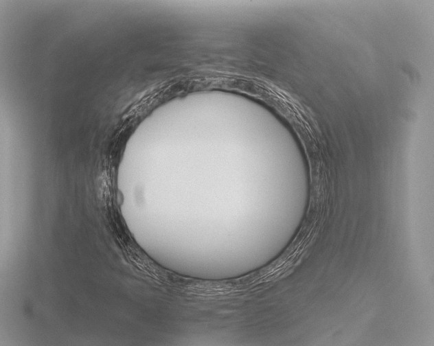 X0000116661397200912141017