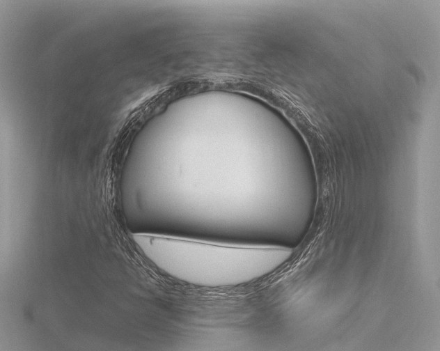X0000116661398200912141017