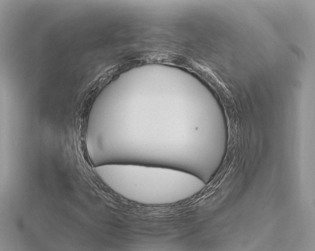 X0000116661399200912141017