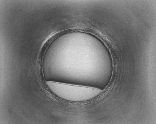 X0000116661400200912141017