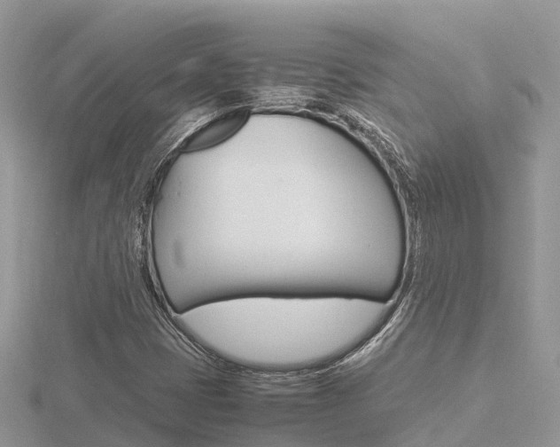 X0000116661401200912141017