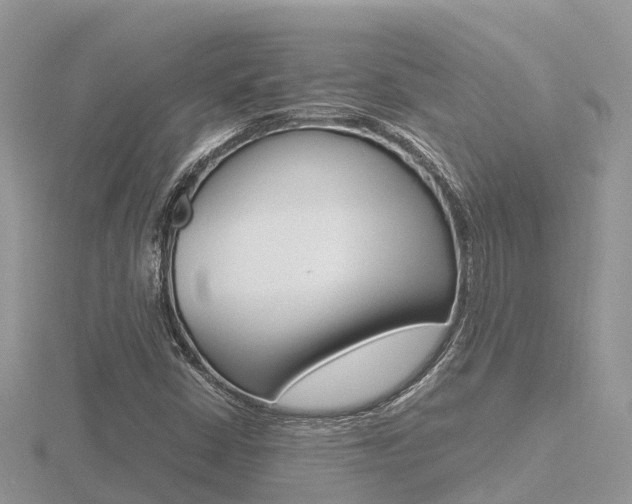 X0000116661402200912141017