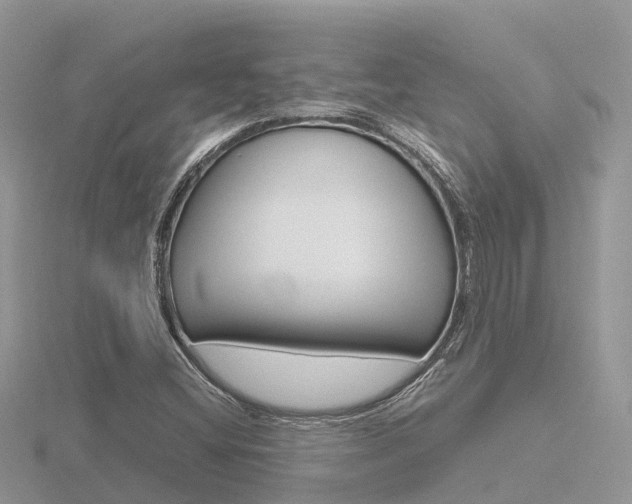 X0000116661404200912141017