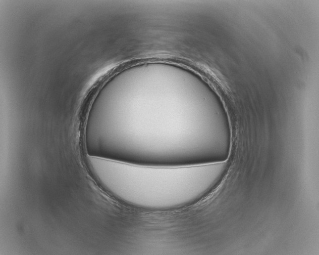 X0000116661406200912141017
