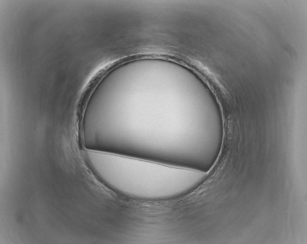 X0000116661408200912141017