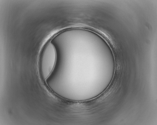 X0000116661414200912141017