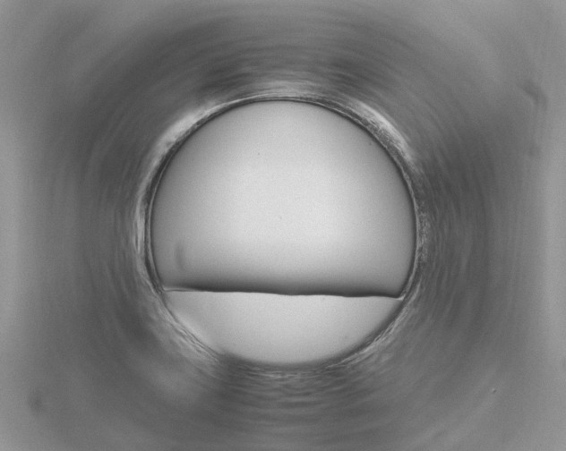 X0000116661419200912141017