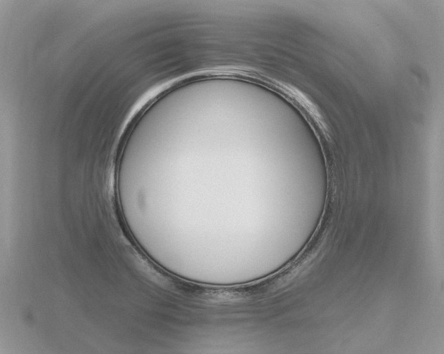 X0000116661420200912141017