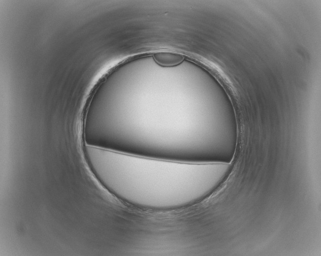 X0000116661424200912141017