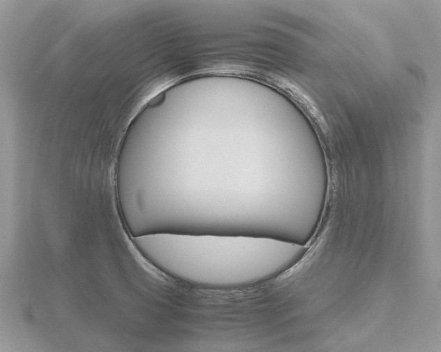 X0000116661425200912141017