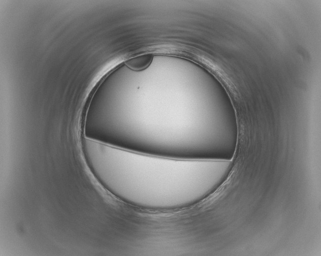 X0000116661426200912141017