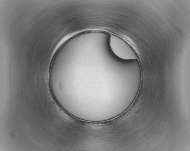 X0000116661428200912141017