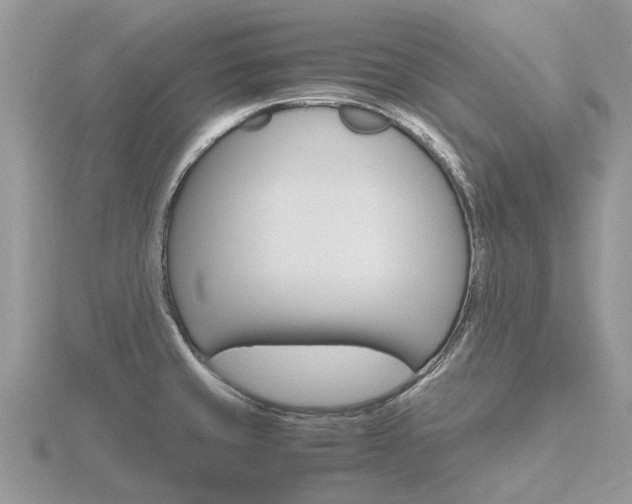 X0000116661429200912141017
