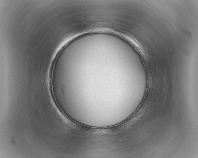 X0000116661430200912141017