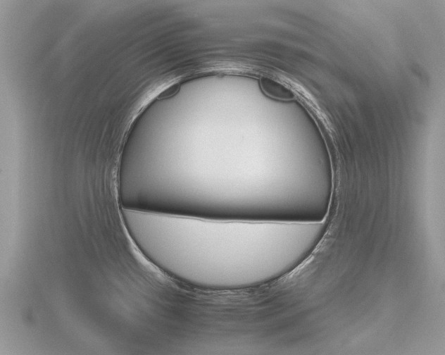 X0000116661433200912141017
