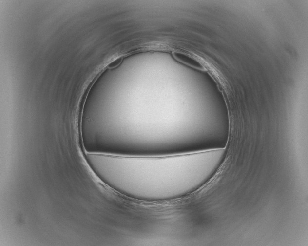 X0000116661434200912141017