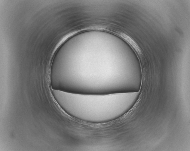 X0000116661436200912141017