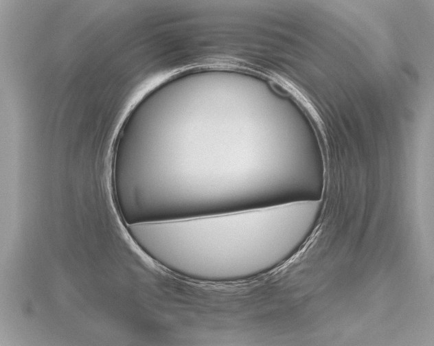 X0000116661437200912141017