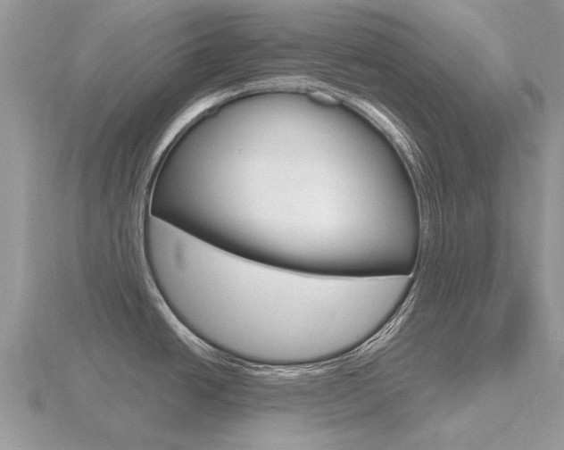 X0000116661438200912141017