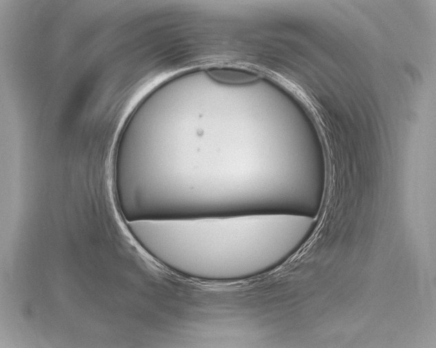 X0000116661440200912141017