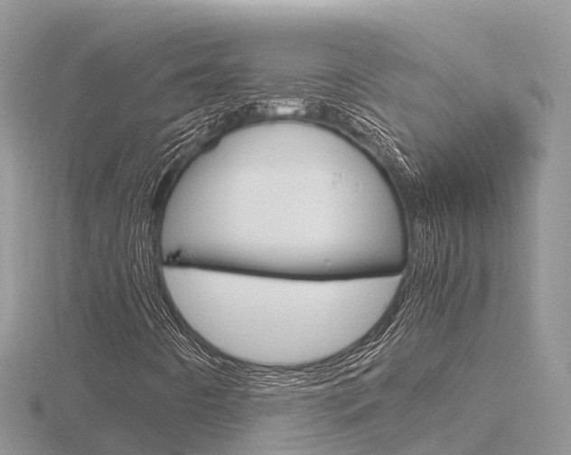 X0000116661442200912141017