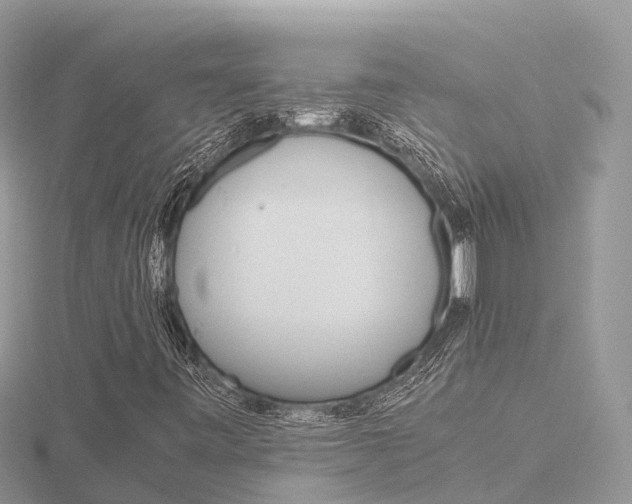 X0000116661443200912141017