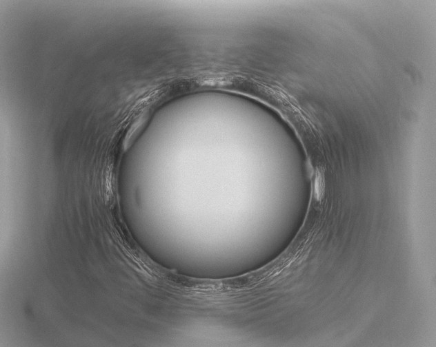 X0000116661444200912141017