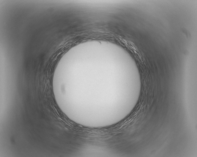 X0000116661445200912141017