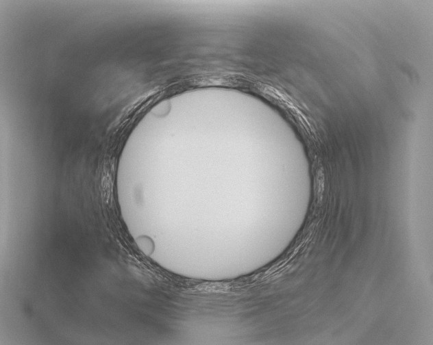 X0000116661446200912141017