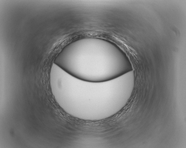 X0000116661447200912141017