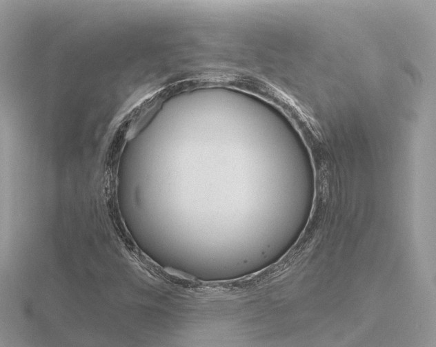 X0000116661448200912141017