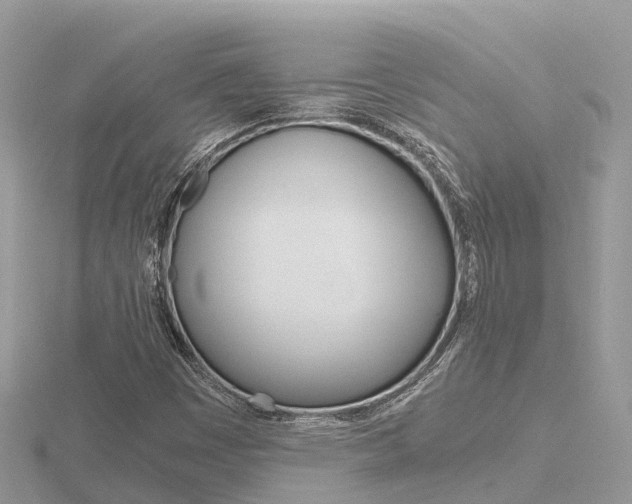 X0000116661449200912141017