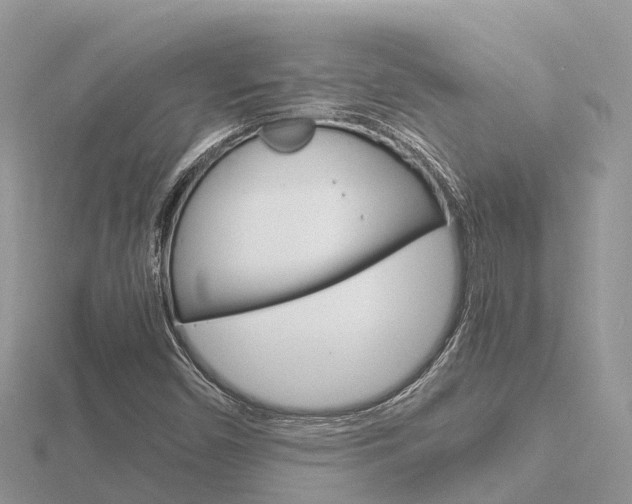X0000116661450200912141017