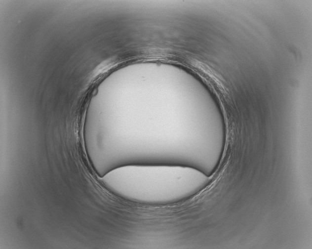 X0000116661451200912141017