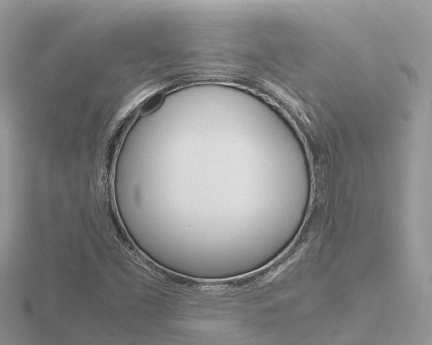 X0000116661453200912141017
