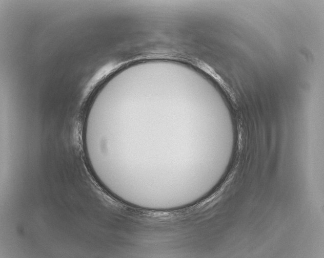 X0000116661454200912141017