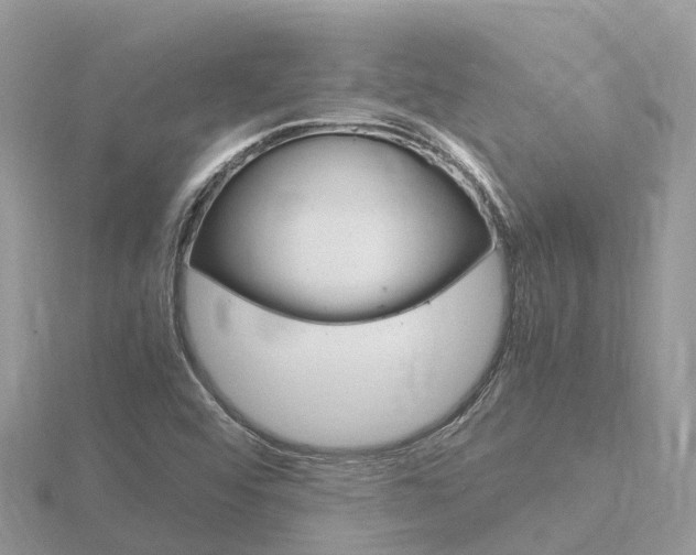 X0000116661456200912141017