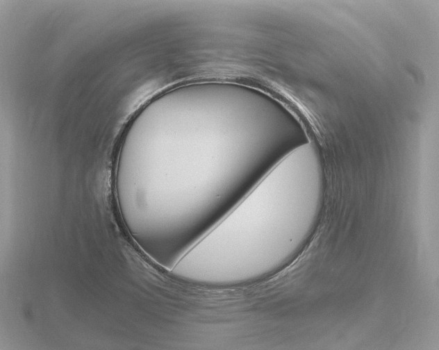 X0000116661459200912141017