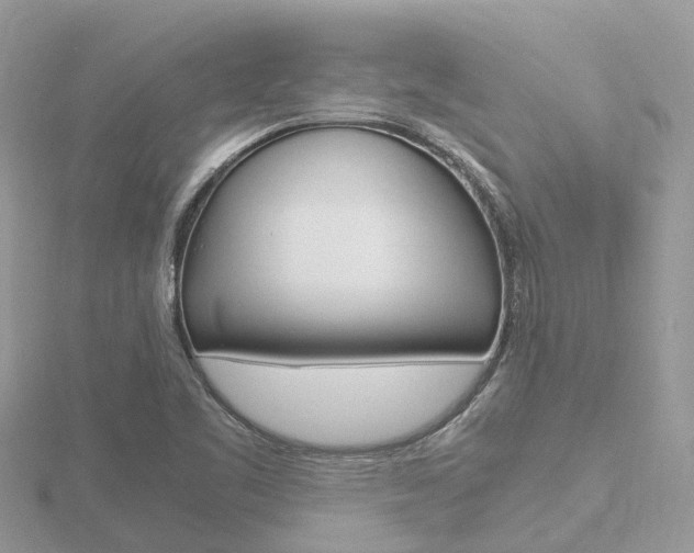 X0000116661461200912141016