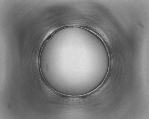 X0000116661465200912141016