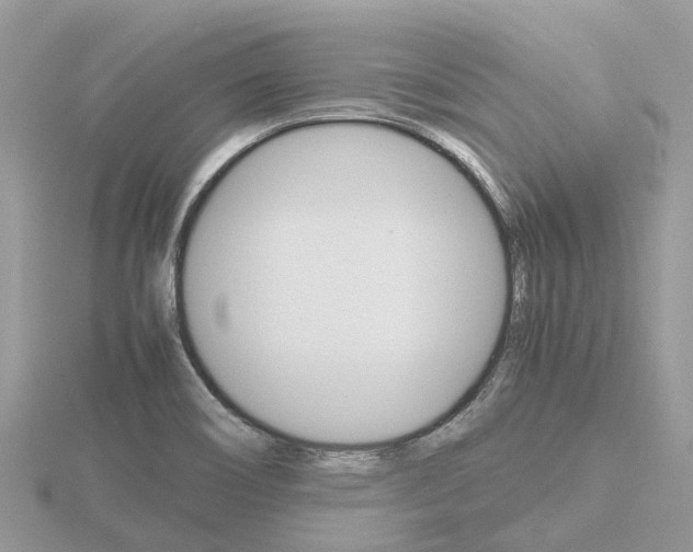 X0000116661466200912141016