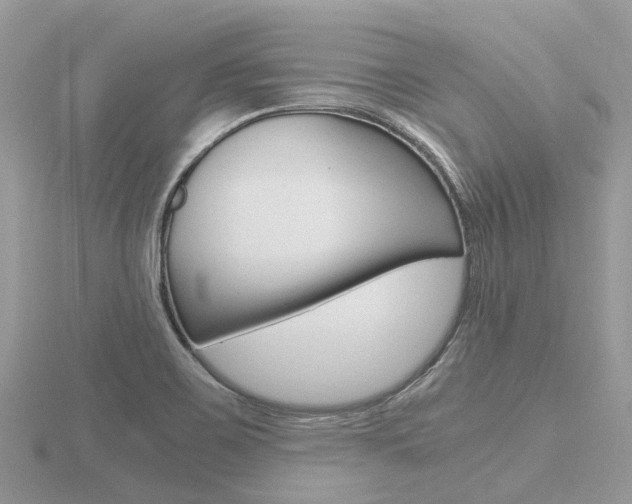 X0000116661467200912141016