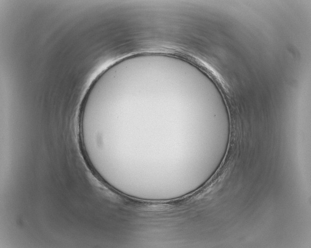 X0000116661471200912141016